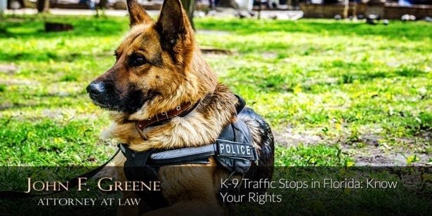 K-9 Traffic Stops in Florida: Know Your Rights