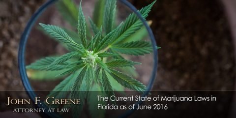 The Current State of Marijuana Laws in Florida as of June 2016